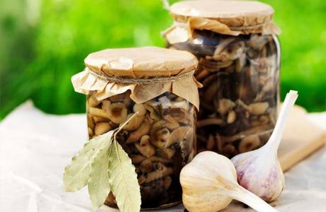 Marinade aux champignons