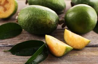 Feijoa compote