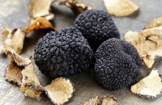 Où de vraies truffes chères poussent en Russie