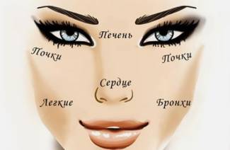 Quels organes sont responsables de l'acné sur le visage et de quelles maladies parlent-ils?