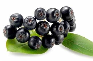 Chokeberry