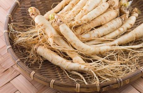 Nützliche Eigenschaften und Kontraindikationen von Ginseng