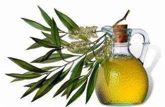 Acne Tea Tree Oil