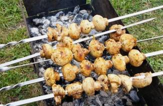 Kuinka marinoida kebab-samppanjoja