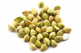 الحنطة السوداء الخضراء