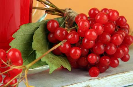 Viburnum paineesta