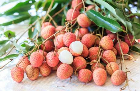 Los beneficios y daños del lichi