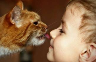 Toxoplasmoza la copii