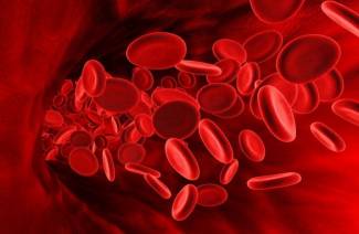 Ce alimente cresc hemoglobina?