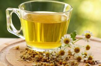 Điều trị bệnh trĩ bằng hoa cúc