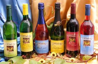 Vin sans alcool