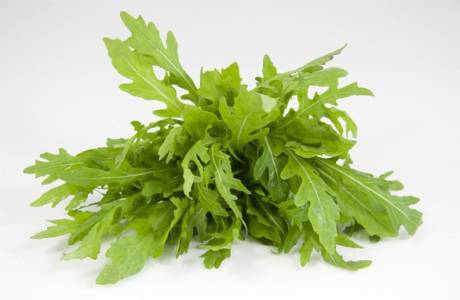 Proprietà utili di rucola