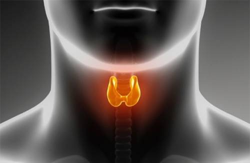 ไทรอยด์ scintigraphy