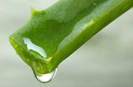 Aloe in fiale