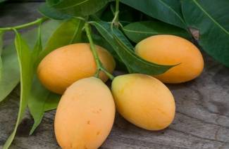 Compote de prunes jaunes