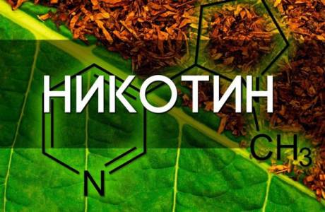 Τι είναι η νικοτίνη;