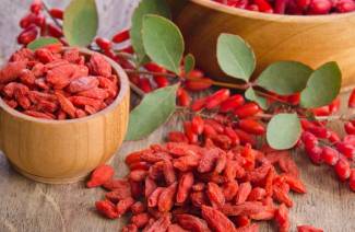 Tính chất hữu ích và chống chỉ định quả goji