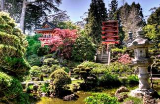 Jardin japonais