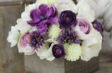 Floristics สำหรับผู้เริ่มต้น