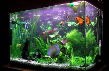 Aquarium Kompressor