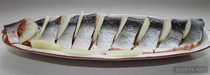Fischgericht