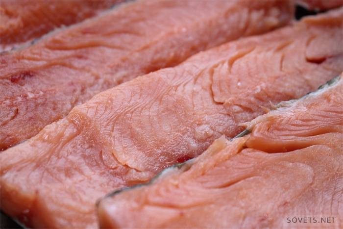 Rotes Fischfilet