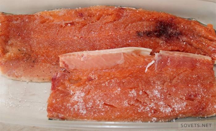 Roten Fisch salzen