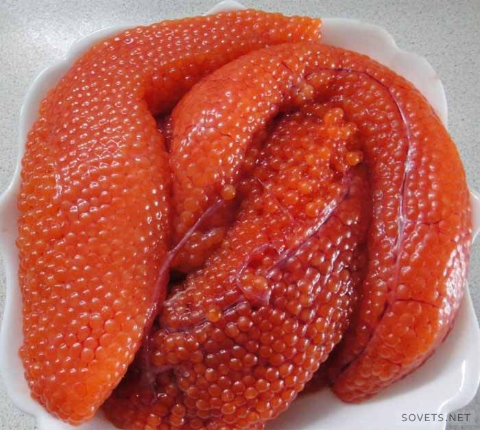 ¿Cómo salar el caviar de trucha?