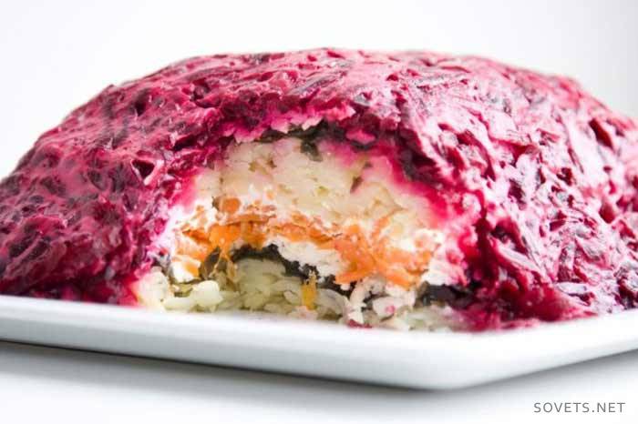 Aringhe vegetariane sotto una pelliccia