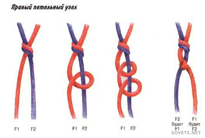 Galvenā mezgla veidi