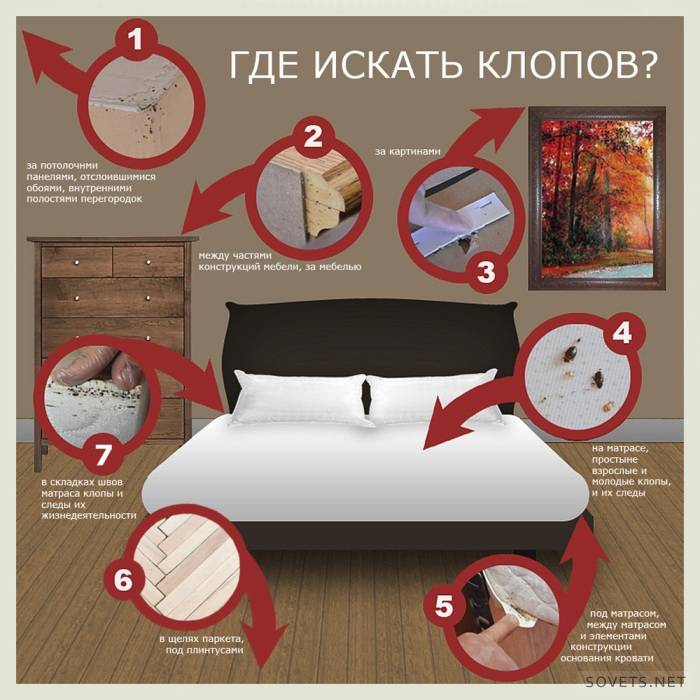 Bequeme Infografiken