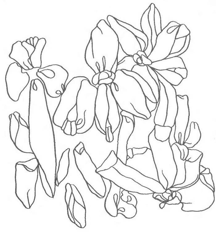 Ordning med blomster