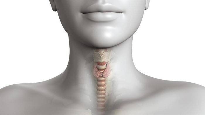 Ang thyroid gland sa mga kababaihan