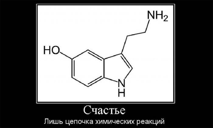Hormone hạnh phúc là gì