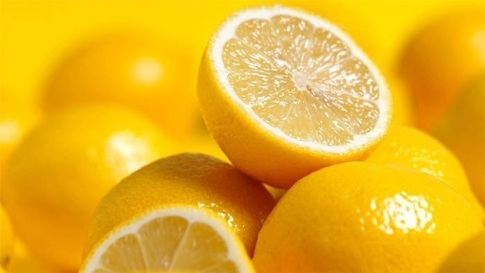 Frutas brilhantes e suculentas