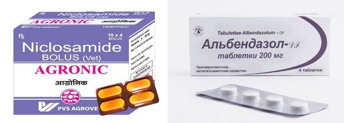 Παρασκευάσματα για τη θεραπεία σκουληκιών σε ενήλικες