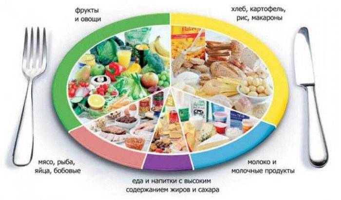 Proporciones de nutrición adecuada para atletas.