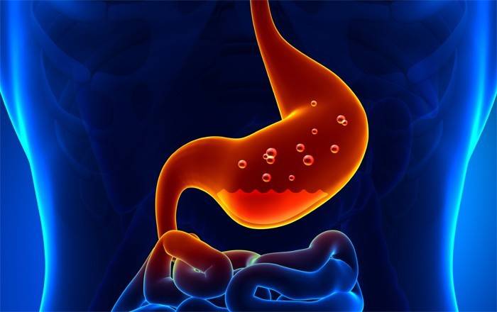 Gastritis crónica