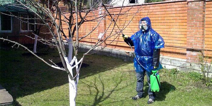 Ein Mann behandelt einen Garten vor Schädlingen