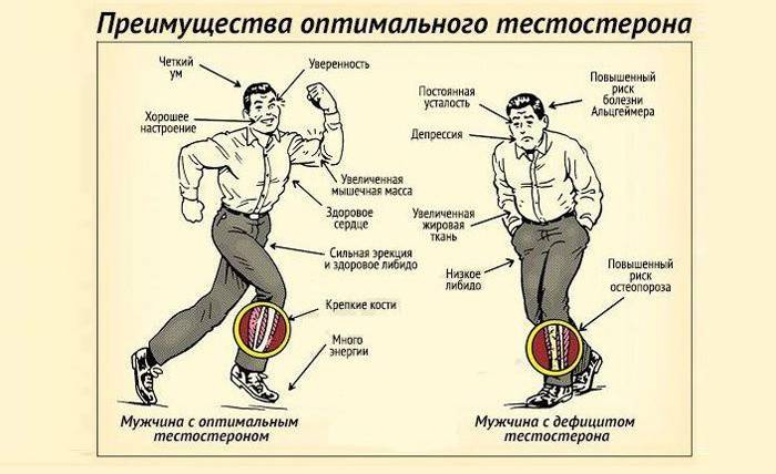 Optimālā vīriešu hormonu līmeņa priekšrocības