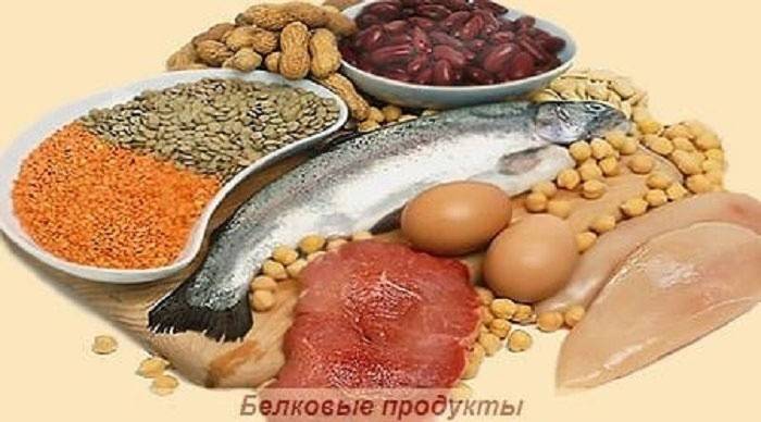 Kas azaltmak için proteinli gıdaları atın