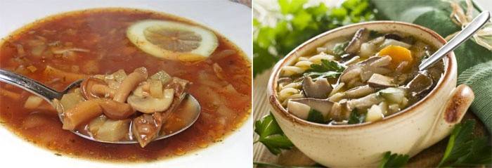 Súp với nấm - hodgepodge cho người ăn chay