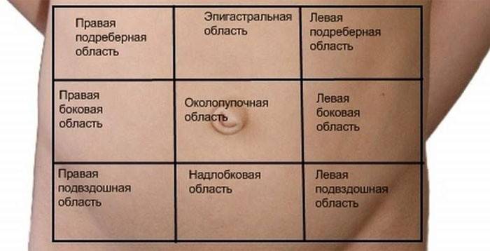 Схемата за определяне на мястото на поява на болка