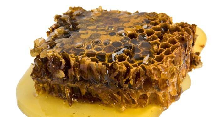 Propolis als Volksheilmittel gegen Kolitis