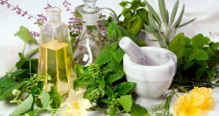 Bài thuốc chữa đau răng