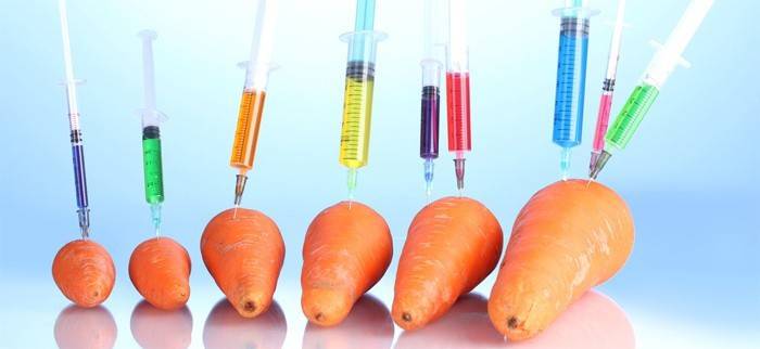 Alimentos Geneticamente Modificados