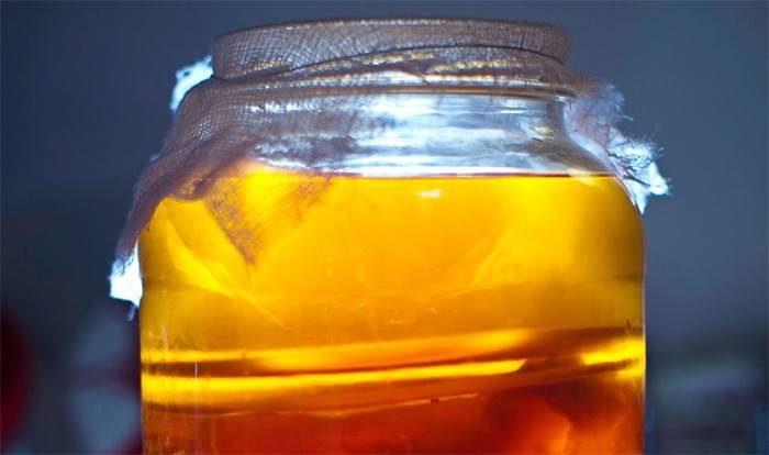 Sinh vật cộng sinh trong ngân hàng