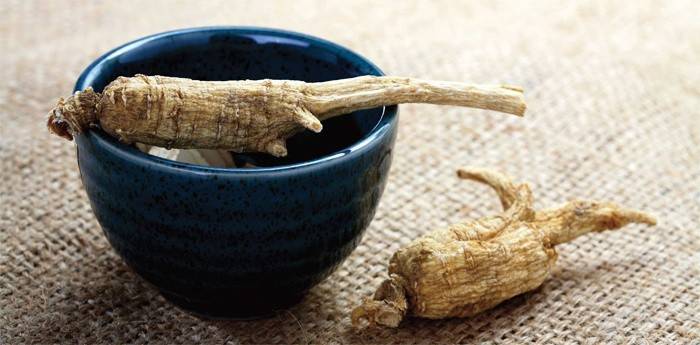 Ginseng kökü
