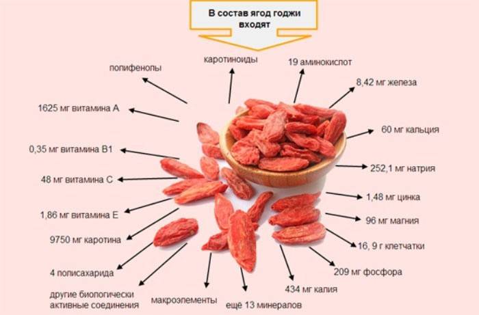 Compoziția elementelor utile ale fructelor de goji