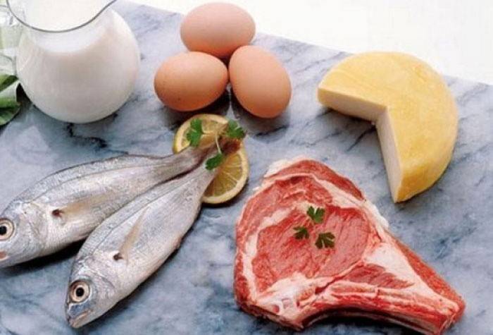 Basın küpleri oluşturmak için proteinli diyet